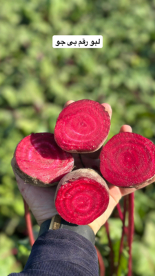 بازرسی دقیق محصولات