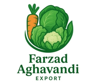 معرفی مجموعه فرزاد آقاوندی در دزفول 