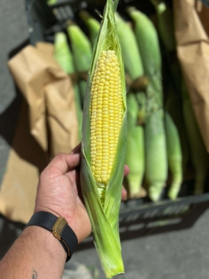 بلال مکزیکی