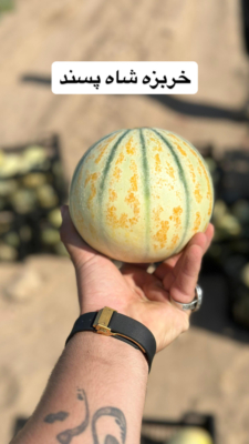 صادرات محصولات