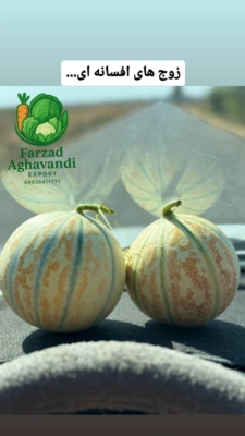 تازه بودن محصولات صادراتی