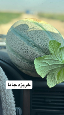 چرا مجموعه فرزاد آقاوندی در دزفول بهترین انتخاب است؟ 