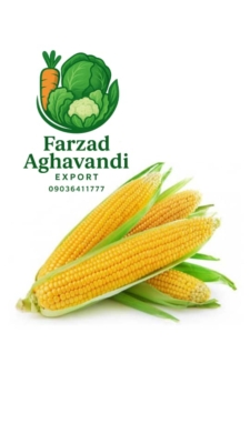 بسته‌بندی حرفه‌ای محصولات