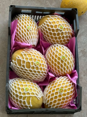 انتخاب محصولات صادراتی